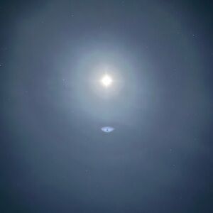 Meet your Posher, BC